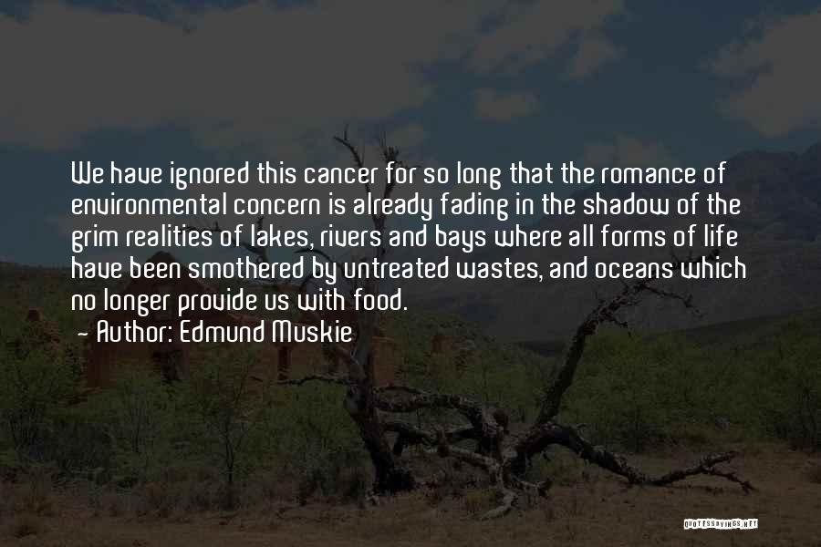 Cancer And Quotes By Edmund Muskie