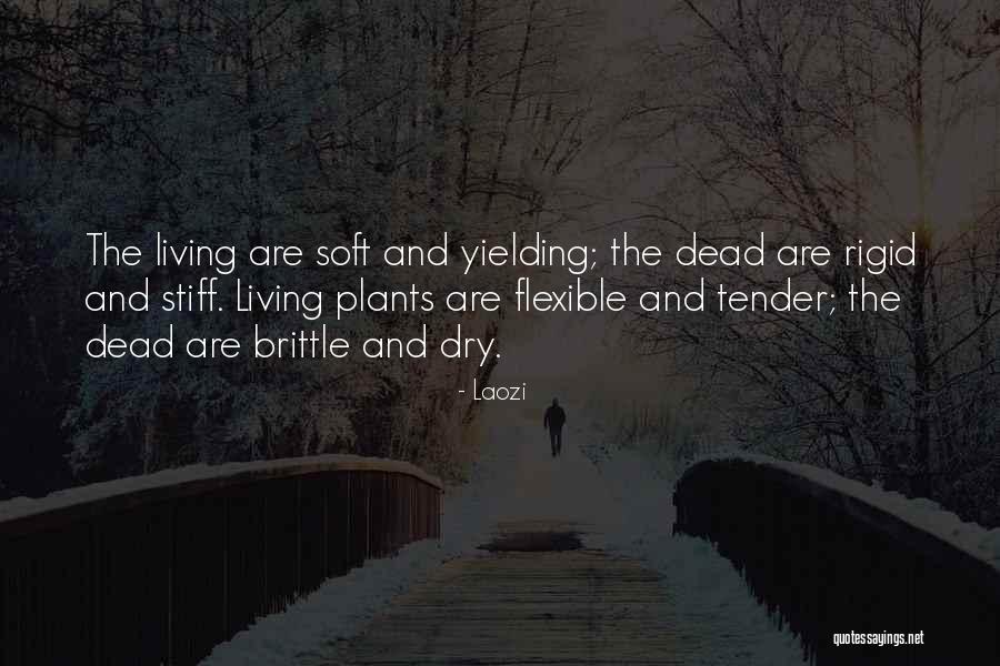 Cancer And Taurus Quotes By Laozi Cancer And Taurus Quotes By Laozi