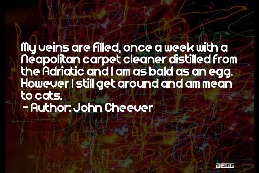 Cancer Bald Quotes By John Cheever