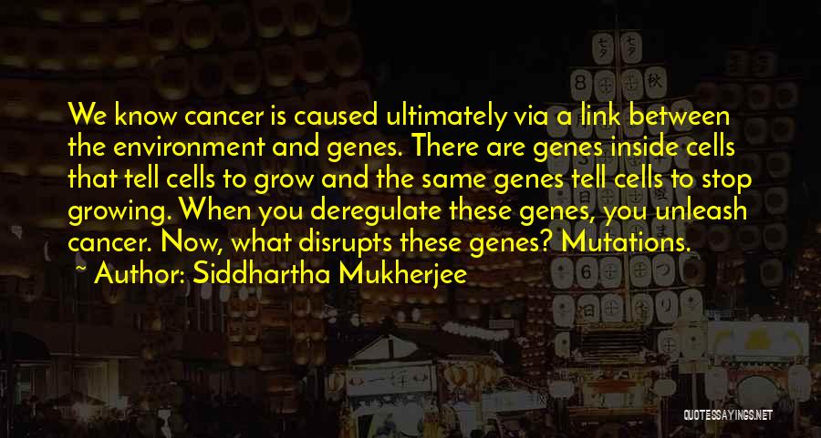 Cancer Cells Quotes By Siddhartha Mukherjee