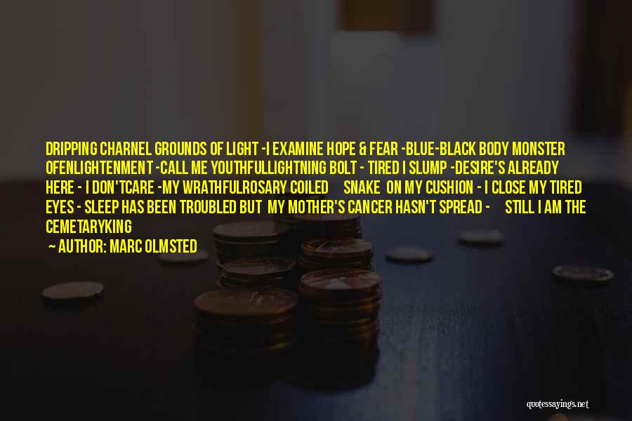 Cancer Hope Quotes By Marc Olmsted