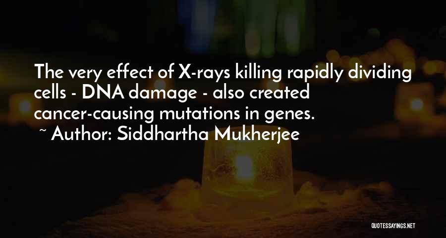 Cancer Killing Someone Quotes By Siddhartha Mukherjee
