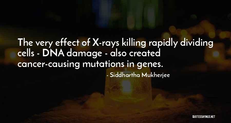 Cancer Killing Someone Quotes By Siddhartha Mukherjee