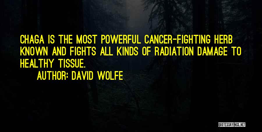 Cancer Quotes By David Wolfe