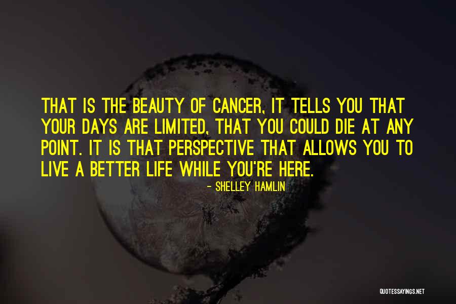 Cancer Survival Quotes By Shelley Hamlin Cancer Survival Quotes By Shelley Hamlin