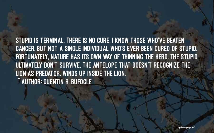 Cancer Survive Quotes By Quentin R. Bufogle