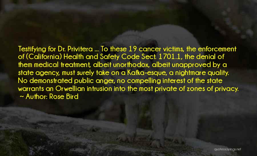 Cancer Treatment Quotes By Rose Bird