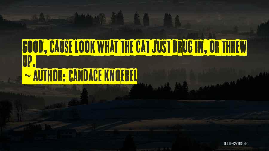 Candace Knoebel Quotes 1806517