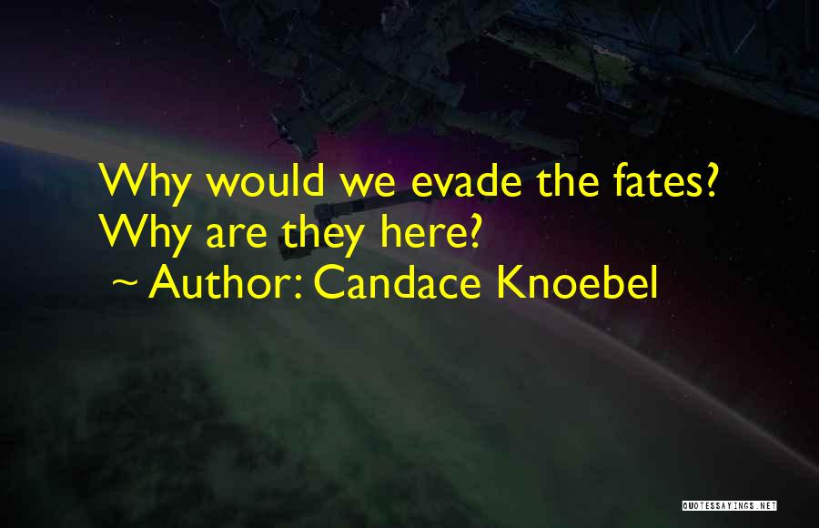 Candace Knoebel Quotes 971563