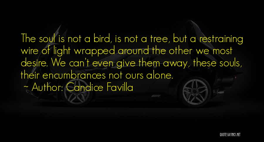 Candice Favilla Quotes 195538