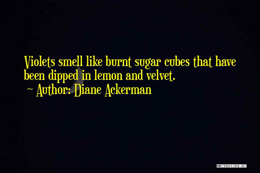 Candid Camera Shot Quotes By Diane Ackerman