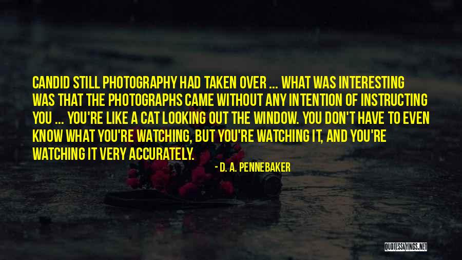 Candid Quotes By D. A. Pennebaker