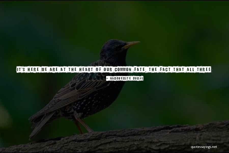 Candid Quotes By Marguerite Duras Candid Quotes By Marguerite Duras