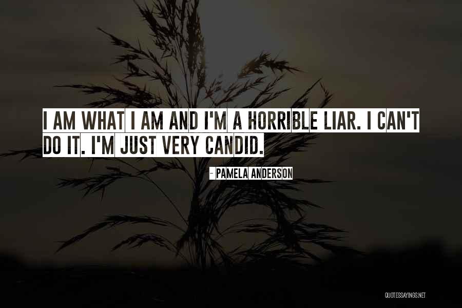 Candid Quotes By Pamela Anderson Candid Quotes By Pamela Anderson