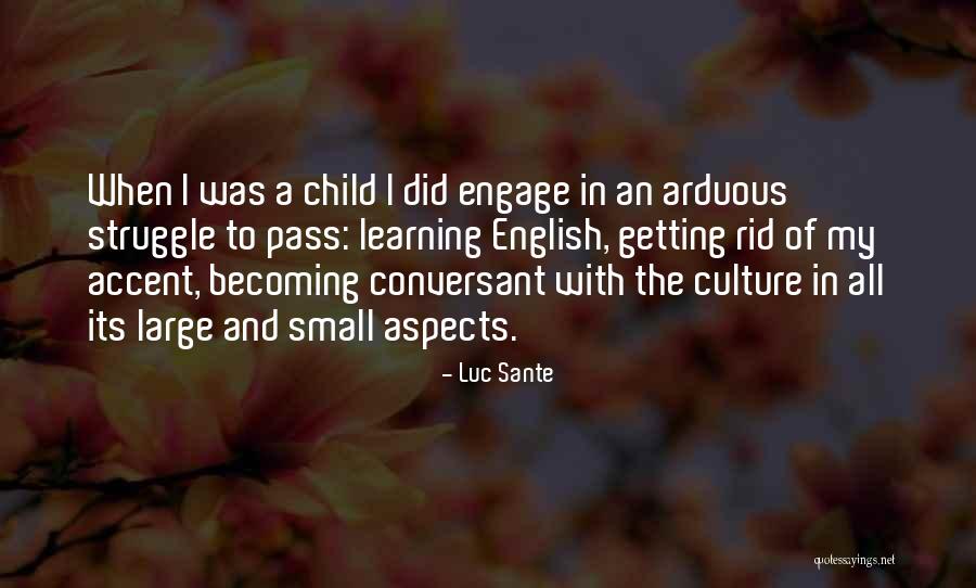 Candidacy Form Quotes By Luc Sante Candidacy Form Quotes By Luc Sante