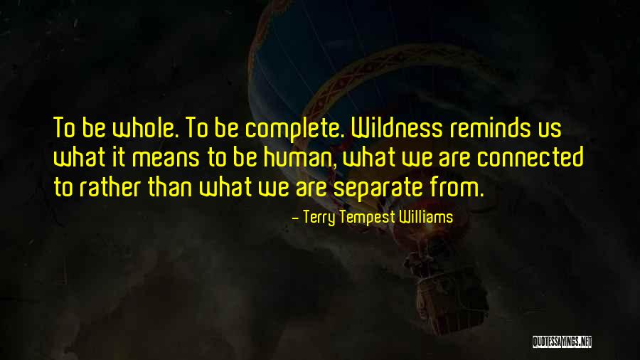Candidatas Festival Rio Quotes By Terry Tempest Williams Candidatas Festival Rio Quotes By Terry Tempest Williams