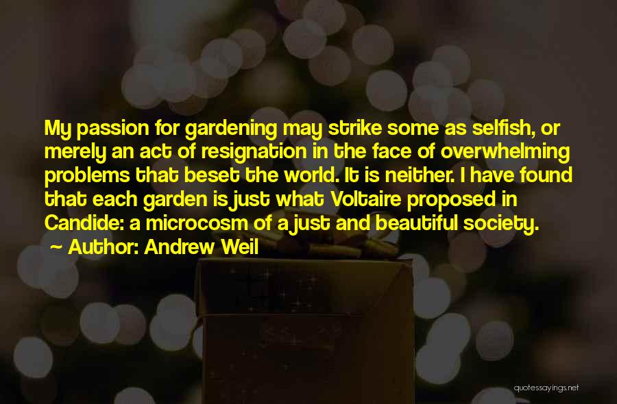 Candide Voltaire Quotes By Andrew Weil