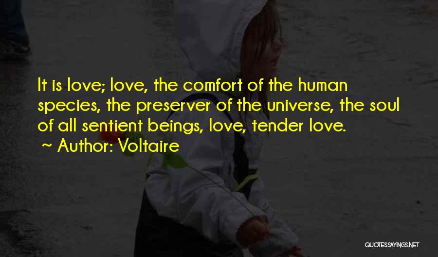 Candide Voltaire Quotes By Voltaire