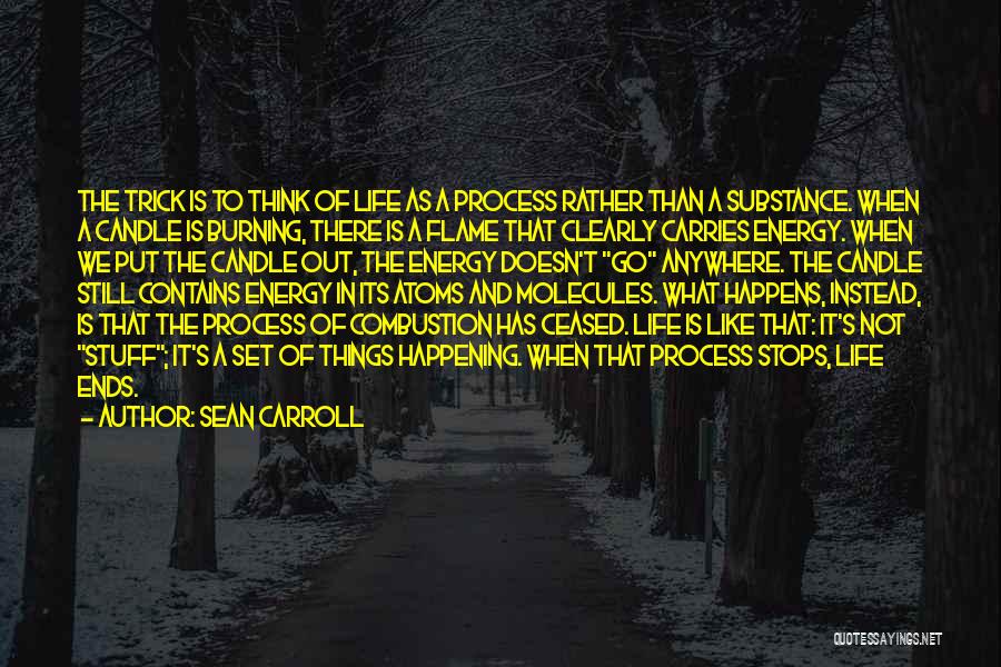 Candle Burning Out Quotes By Sean Carroll