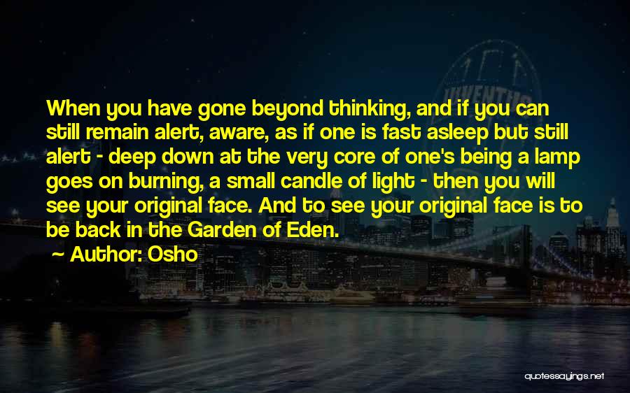 Candle Burning Quotes By Osho