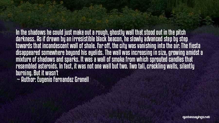 Candles And Darkness Quotes By Eugenio Fernandez Granell