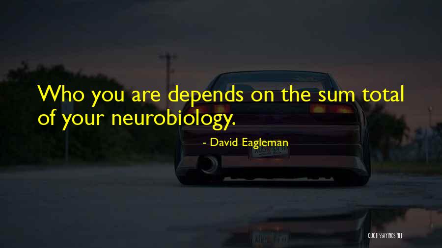Candy Blackwell Quotes By David Eagleman