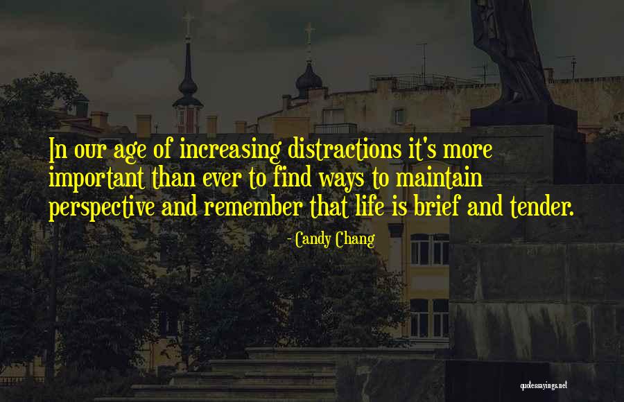 Candy Chang Quotes 381798