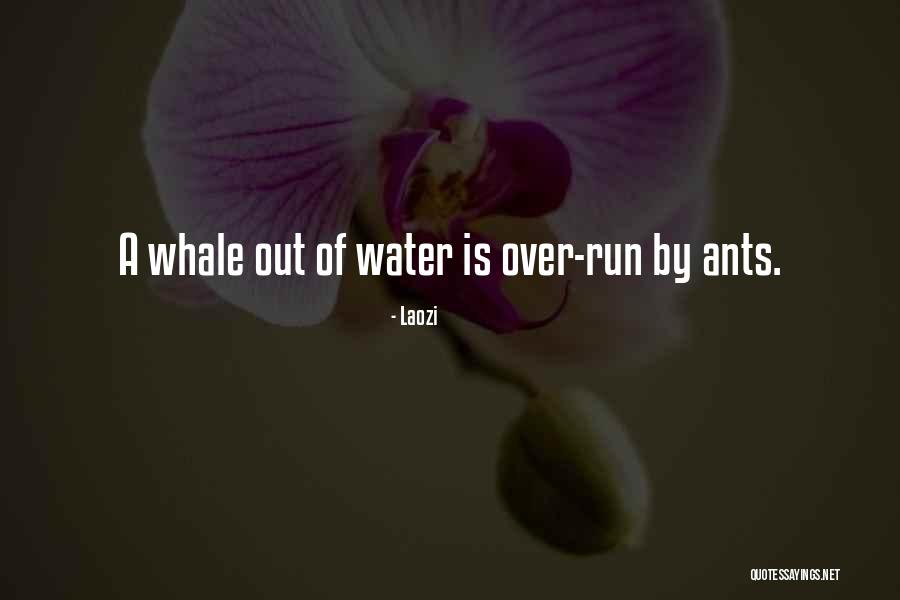 Candy Heart Quotes By Laozi Candy Heart Quotes By Laozi