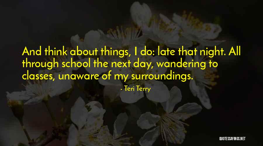 Candyland Decorations Quotes By Teri Terry