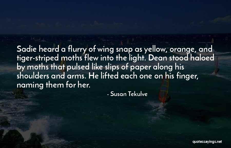 Canedo Apellido Quotes By Susan Tekulve Canedo Apellido Quotes By Susan Tekulve