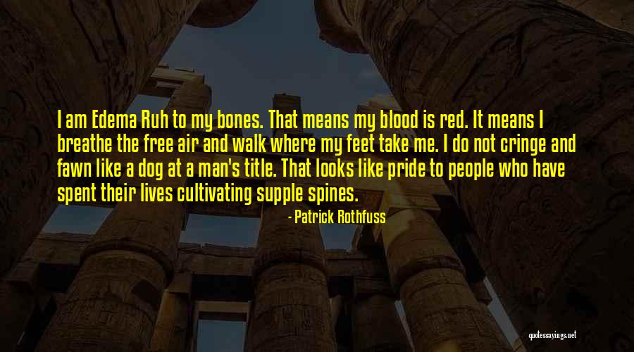 Canetti Writer Quotes By Patrick Rothfuss Canetti Writer Quotes By Patrick Rothfuss