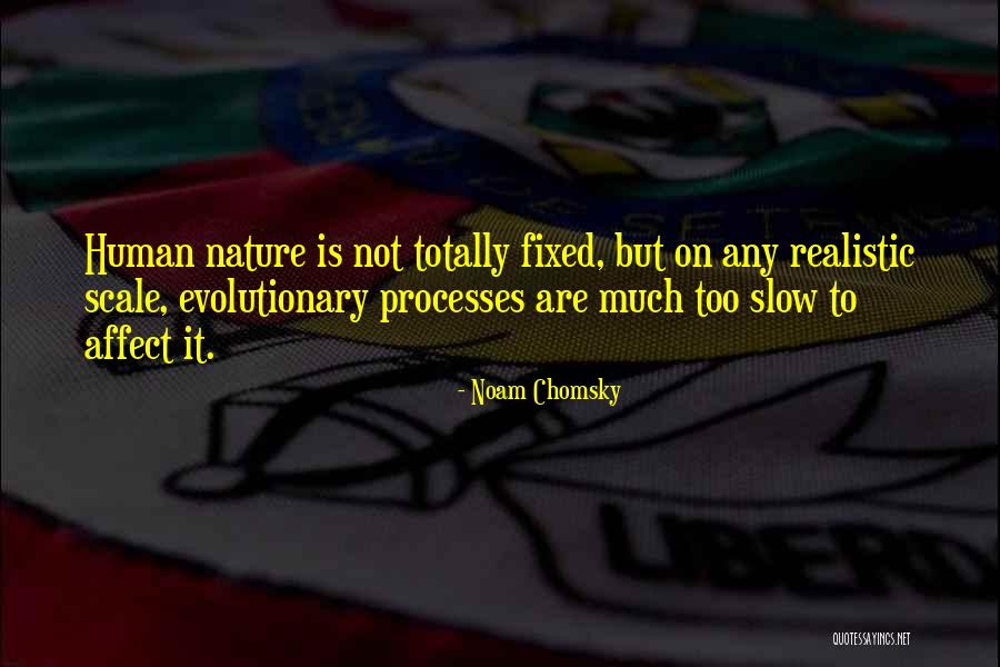Canibalismo Imagenes Quotes By Noam Chomsky Canibalismo Imagenes Quotes By Noam Chomsky