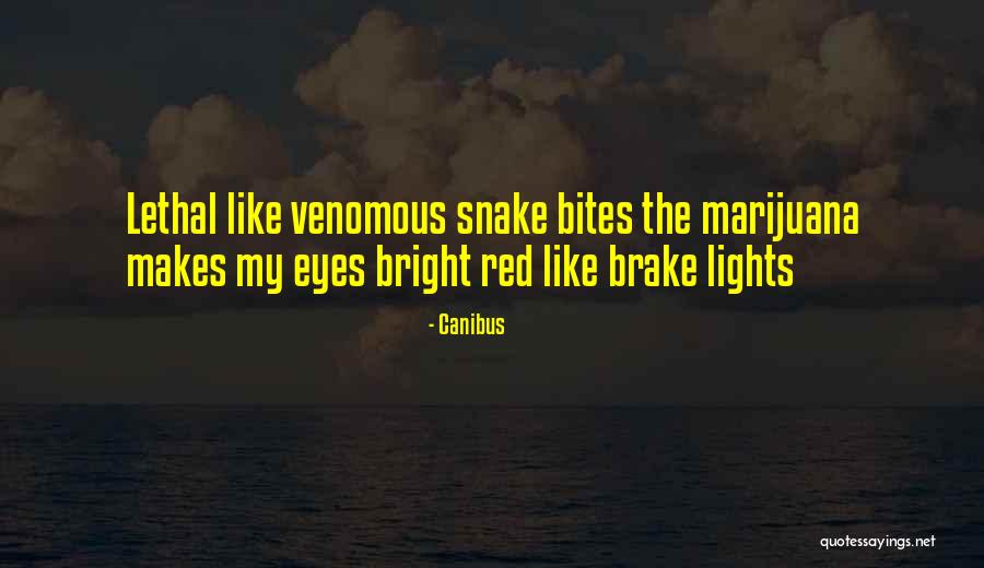 Canibus Quotes 1230540