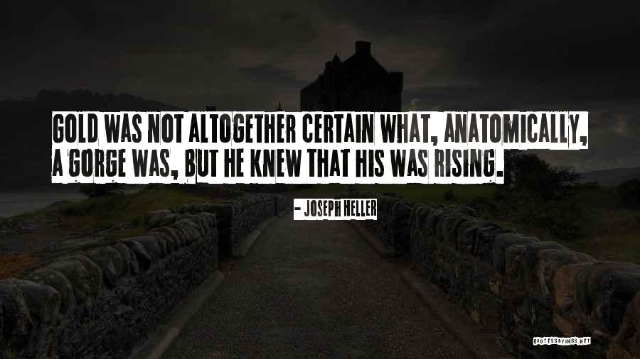 Caniglia Homes Quotes By Joseph Heller Caniglia Homes Quotes By Joseph Heller