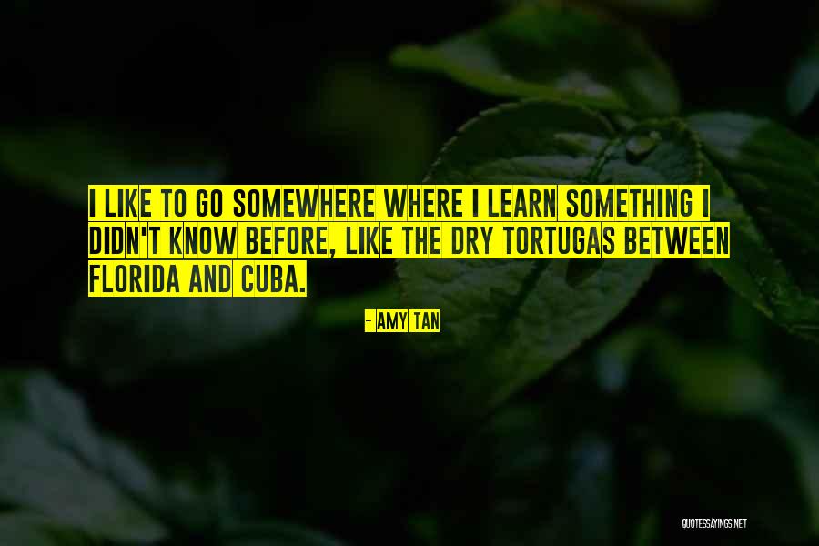 Caniglia Plastic Surgery Quotes By Amy Tan Caniglia Plastic Surgery Quotes By Amy Tan