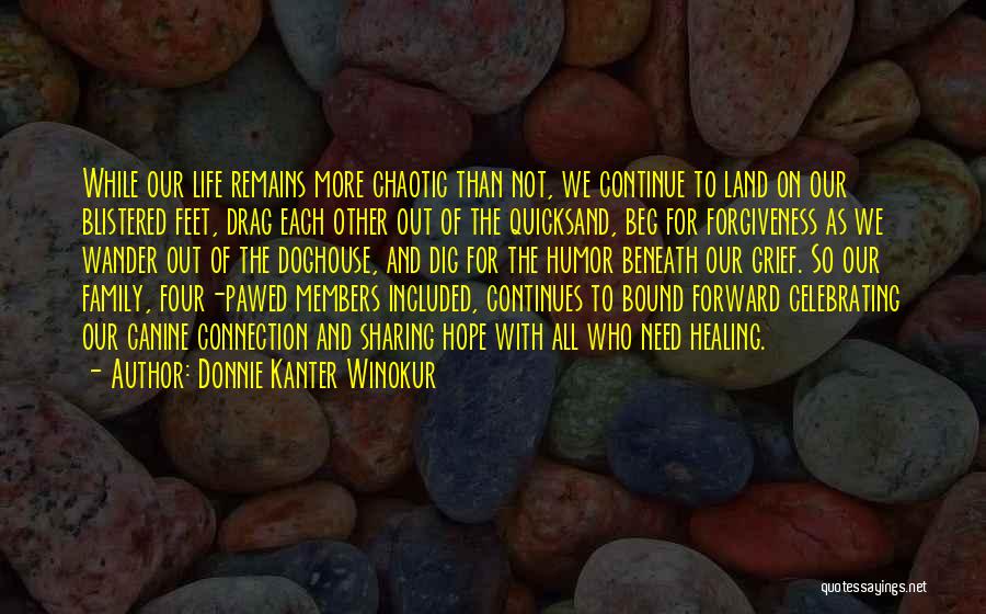 Canine Quotes By Donnie Kanter Winokur