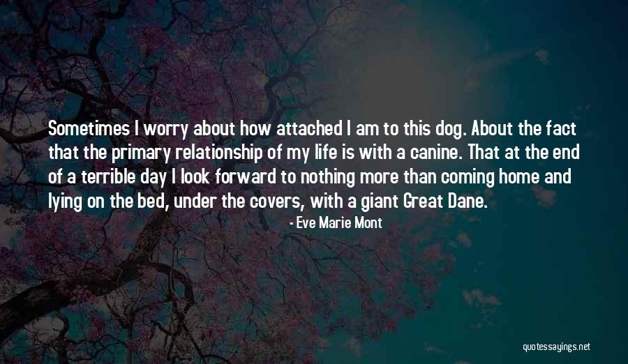 Canine Quotes By Eve Marie Mont