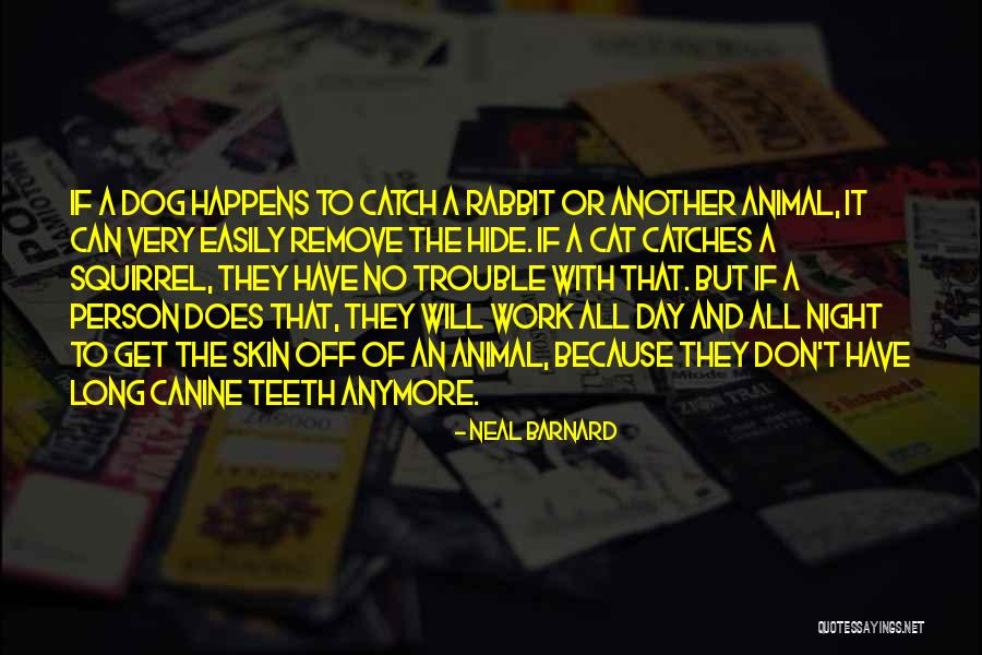 Canine Teeth Quotes By Neal Barnard Canine Teeth Quotes By Neal Barnard