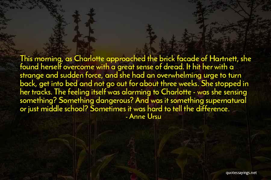 Canino Psychotherapy Quotes By Anne Ursu Canino Psychotherapy Quotes By Anne Ursu