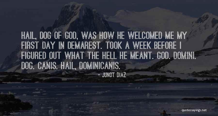 Canis Quotes By Junot Diaz Canis Quotes By Junot Diaz