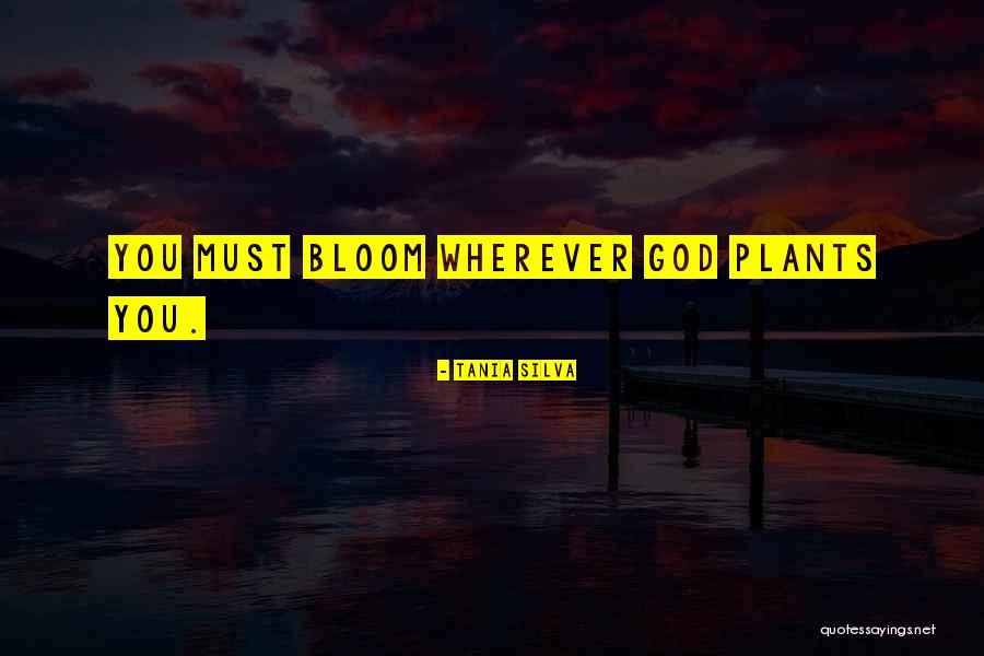 Cankurtaran Istanbul Quotes By Tania Silva Cankurtaran Istanbul Quotes By Tania Silva