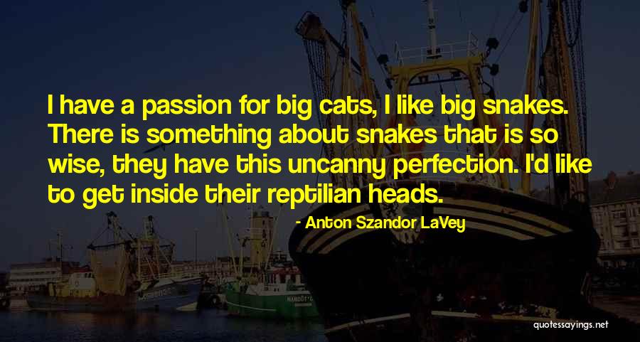 Cankurtaran Kilisesi Quotes By Anton Szandor LaVey Cankurtaran Kilisesi Quotes By Anton Szandor LaVey