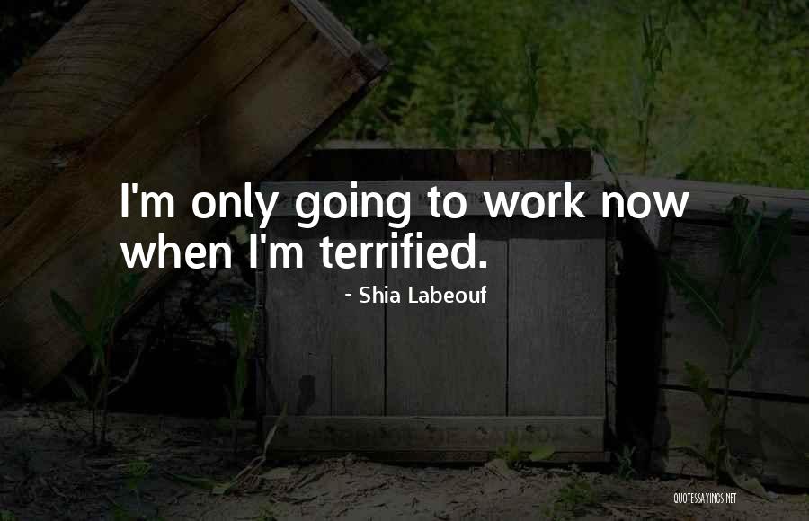Cannasaver Quotes By Shia Labeouf Cannasaver Quotes By Shia Labeouf