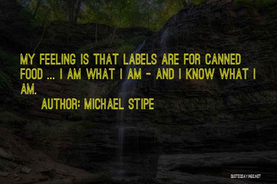 Canned Food Quotes By Michael Stipe