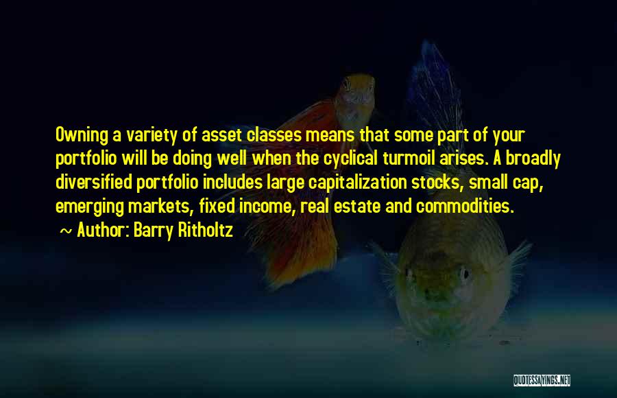 Cannibalize Synonym Quotes By Barry Ritholtz