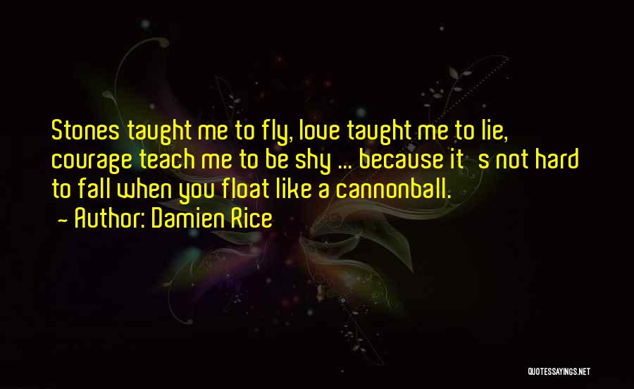 Cannonball Quotes By Damien Rice