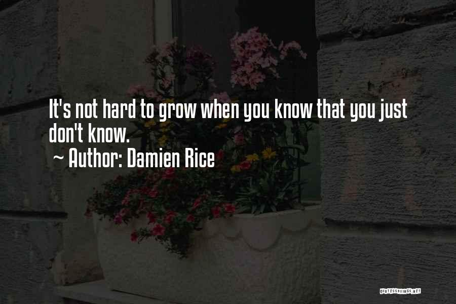 Cannonball Quotes By Damien Rice