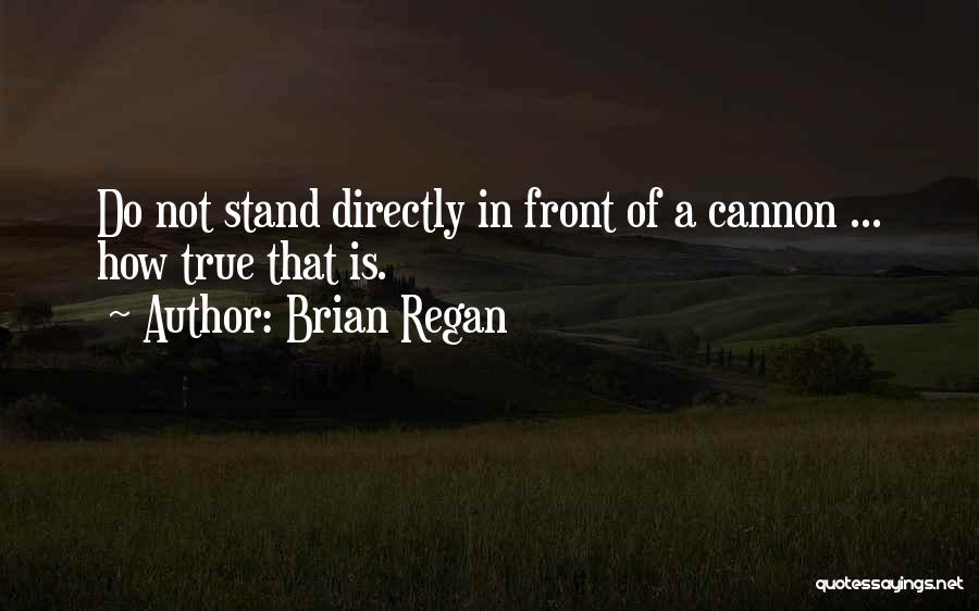 Cannons Quotes By Brian Regan