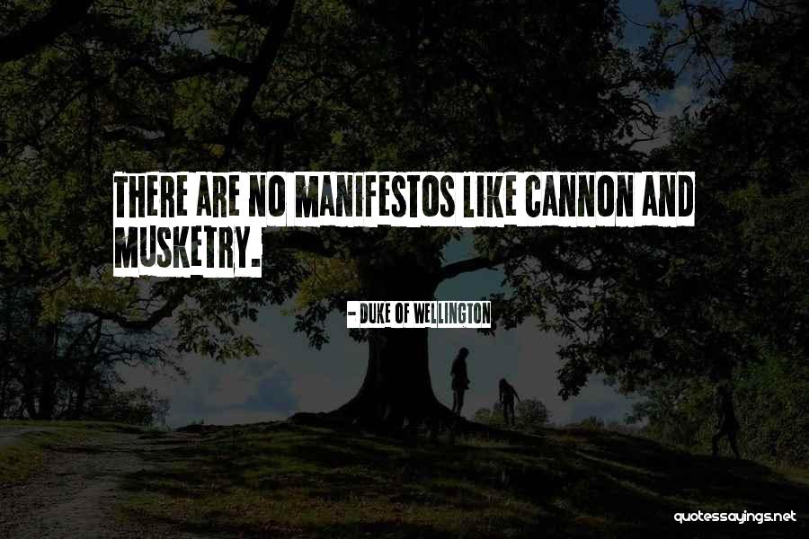 Cannons Quotes By Duke Of Wellington