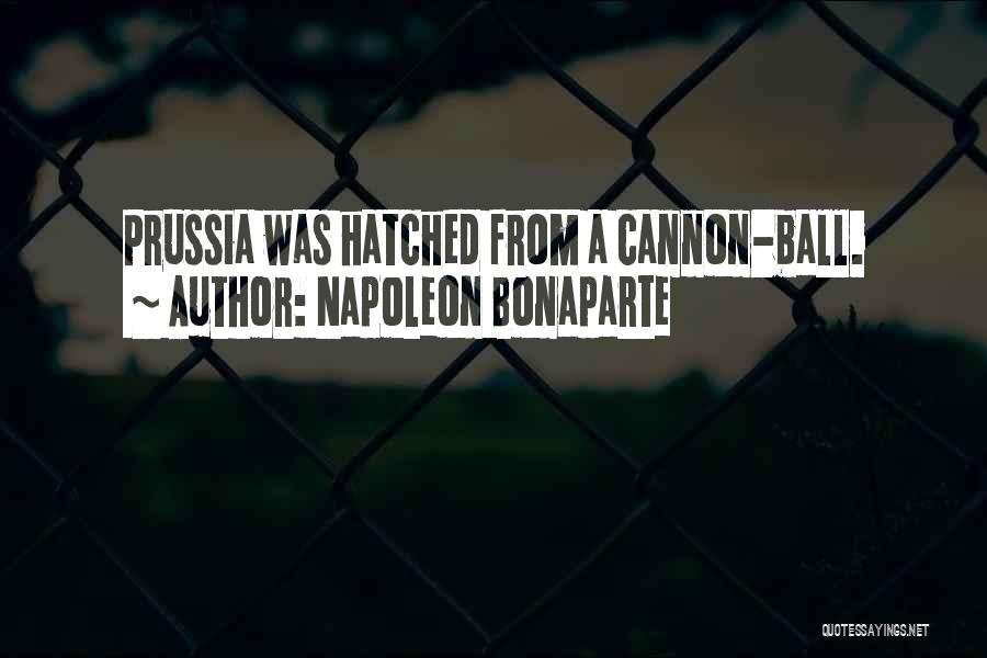 Cannons Quotes By Napoleon Bonaparte